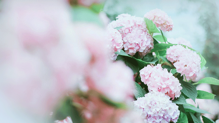 1588644844639884.png 微信圖片_20200505101006.png