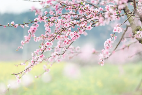 1711939399173661.png image.png